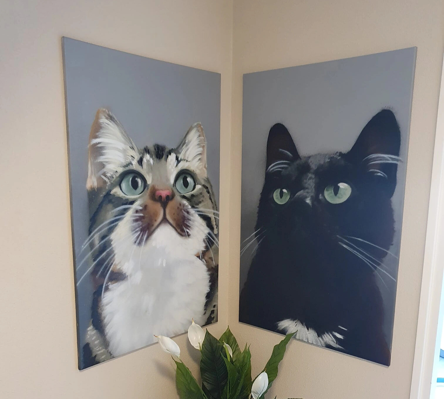 11.KattenZusjes.jpg