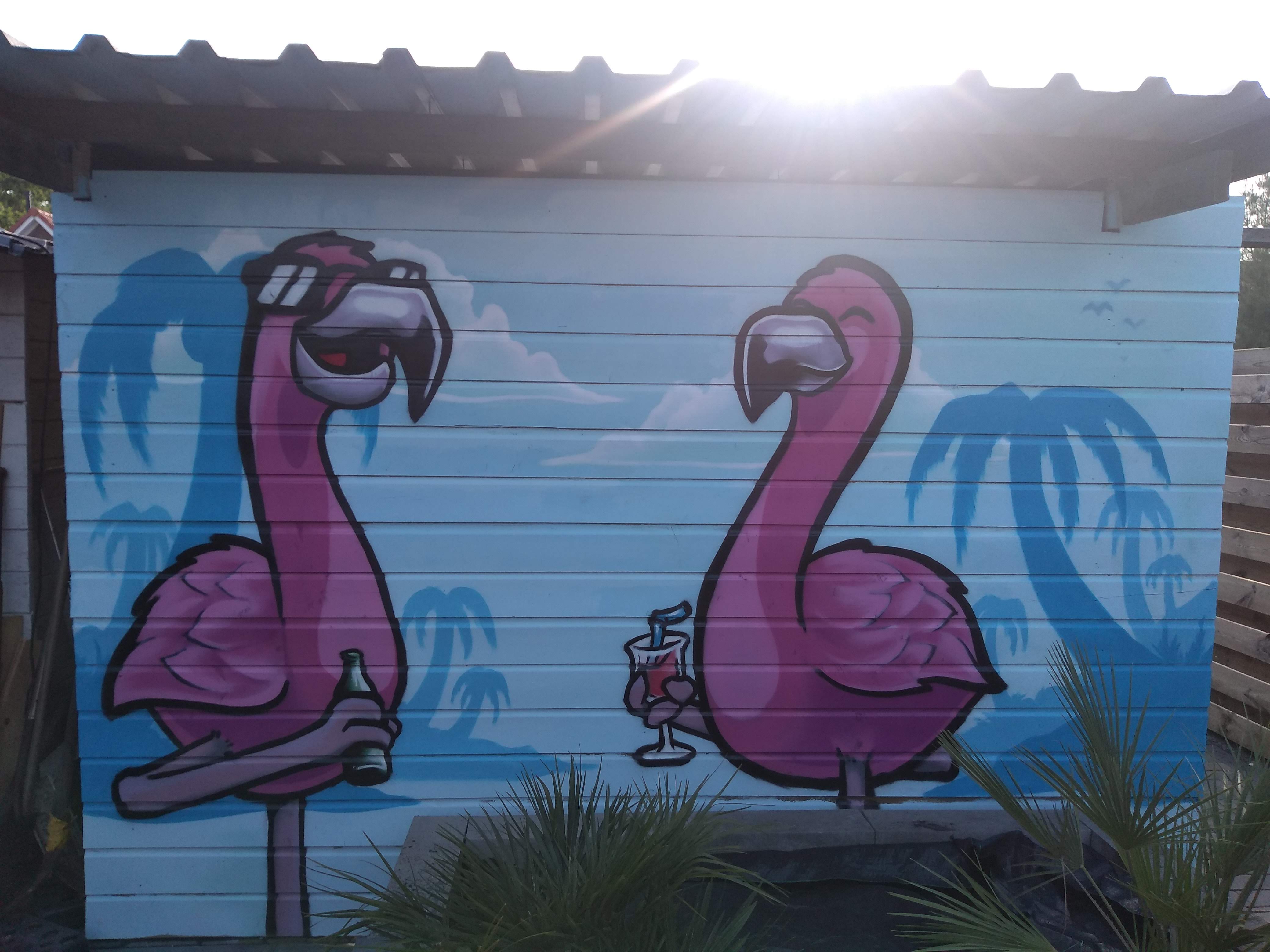21.Flamingos.jpg